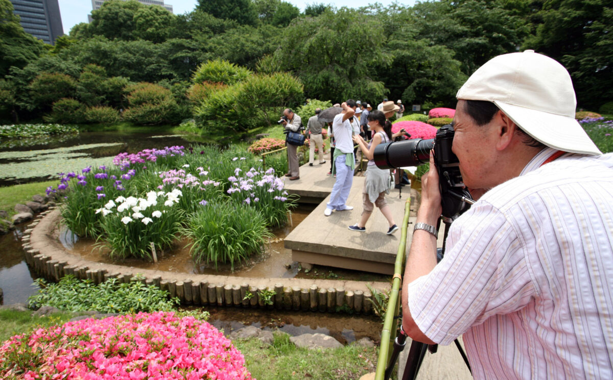 Quel appareil photo pour un Tokyo Safari ?